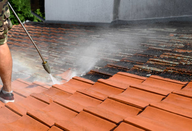 Best Pressure Washing Near Me  in Corning, AR