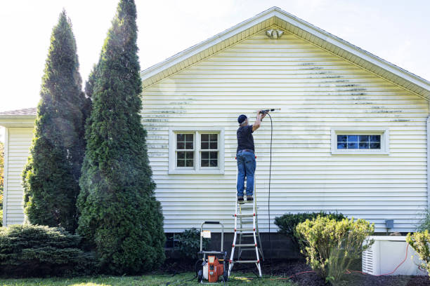 Best Roof Power Washing Services  in Corning, AR